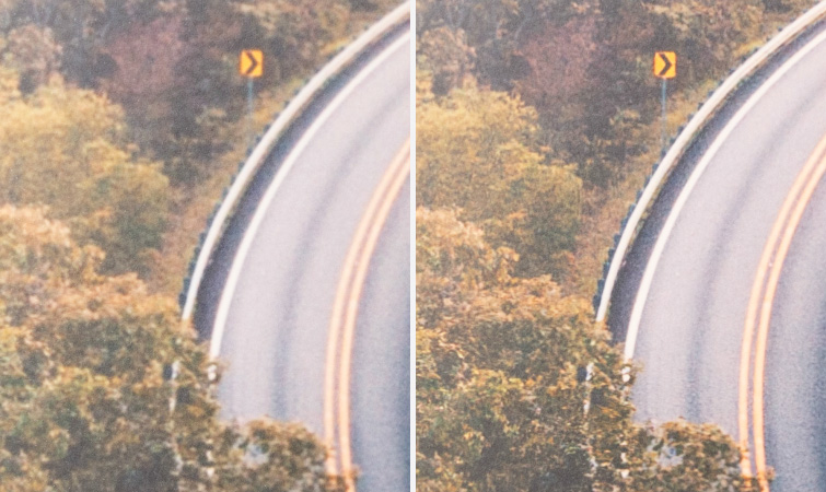 Topaz Photo AI Review - Enhanced Resolution Print Detail 3