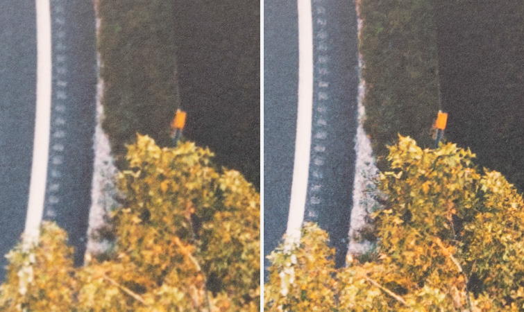 Topaz Photo AI Review - Enhanced Resolution Print Detail