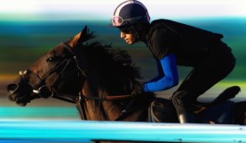 Finding Content For the Instagram Creator