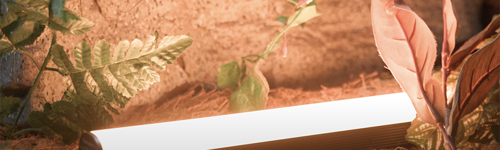 The Best Affordable Handheld LED Lights