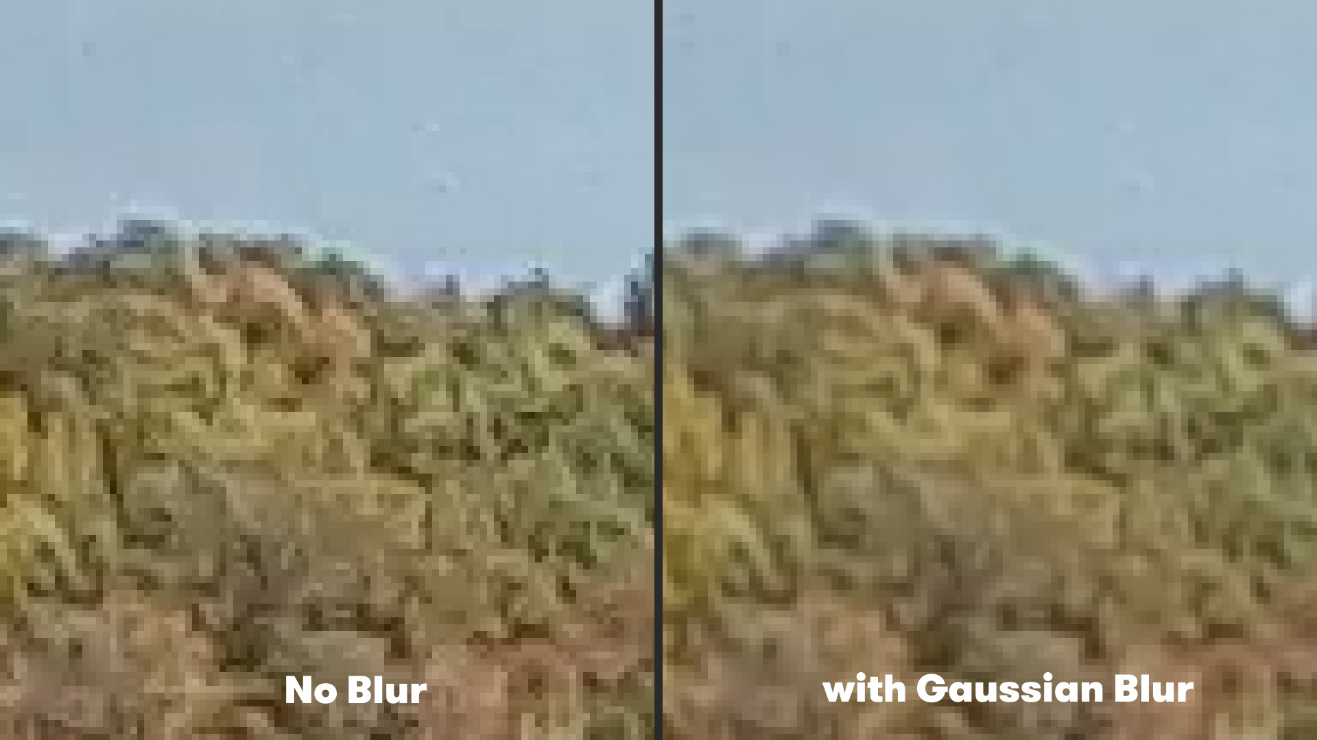 Side by side example footage with an example of no blur next to the Gaussian Blur effect applied