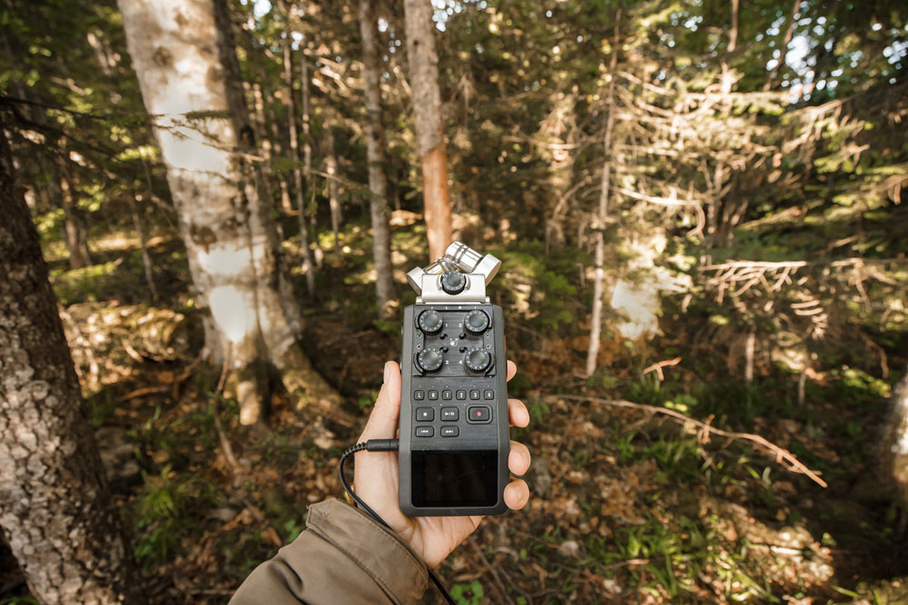 Hand holding an outdoor field recorder in the forest